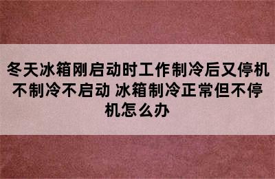 冬天冰箱刚启动时工作制冷后又停机不制冷不启动 冰箱制冷正常但不停机怎么办